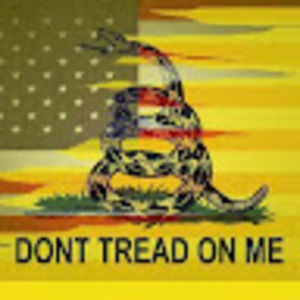 Meet your Posher, Ken